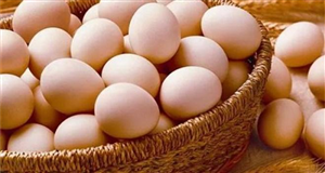 Bốn mẹo nhỏ cất giữ trứng gà có thể bạn chưa biết