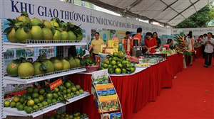 Đẩy mạnh hợp tác tiêu thụ nông sản an toàn giữa tỉnh Hòa Bình và Hà Nội