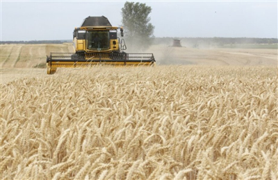 Giá lúa mì tăng vọt lên mức cao nhất, tăng áp lực lạm phát thực phẩm toàn cầu