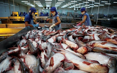 Doanh nghiệp cần lưu ý gì khi xuất khẩu thủy sản sang Trung Quốc?