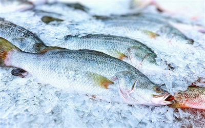 Những rủi ro từ việc ăn cá sống