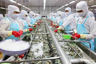 Trung Quốc hủy quy trình xét nghiệm COVID đối với thủy sản nhập khẩu