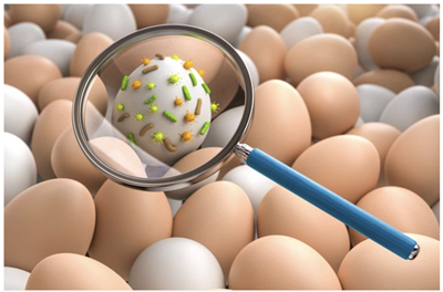 Cách khử độc trứng đơn giản mà không sợ khuẩn salmonella khi ăn trứng sống