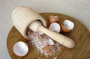 Vỏ trứng: 